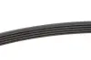 Ремінь генератора BMW 5 (E39) 520i/523i/528i 90-/Hyundai XG 3.0-3.5 98-05/Mitsubishi Colt 1.5 05-12 INA FB 5PK906 (фото 2)