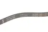 Ремінь генератора BMW 5 (E39) 520i/523i/528i 90-/Hyundai XG 3.0-3.5 98-05/Mitsubishi Colt 1.5 05-12 INA FB 5PK906 (фото 3)