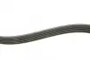 Ремінь генератора Fiat Scudo 2.0 JTD 99-06 (5PK970) INA FB 5PK970 (фото 3)