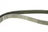 Ремінь генератора Citroen Jumper/Peugeot Boxer 2.0 94-, (XU10J2), (+AC) INA FB 6PK1093 (фото 4)