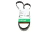 Ремень генератора Peugeot 206/Partner/Citroen Berlingo 1.1-1.6 02-/VW Fox/Polo 1.2 02-14 (6PK1453) FB 6PK1453