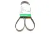 Ремінь генератора поліклиновий VW Golf/BMW/Ford/Opel (6PK1540) FB 6PK1540