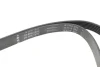 Ремінь генератора Audi A4/A6 1.6-2.0 00-08 (6PK1570) INA FB 6PK1570 (фото 2)