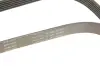 Ремінь генератора Opel Astra 1.7CDTi 03-/Renault Megane/Laguna 1.9-3.0 97-03/BMW 1 (E81/E87) 04-11 INA FB 6PK1605 (фото 4)