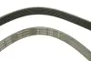 Ремінь генератора Ford Escort 1.4-1.8 92-00/Renault Laguna 1.8 93-01/VW Golf II/Passat B3/B4 88-97 INA FB 6PK1653 (фото 4)