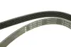 Ремінь генератора Ford Escort 1.4-1.8 92-00/Renault Laguna 1.8 93-01/VW Golf II/Passat B3/B4 88-97 INA FB 6PK1653 (фото 5)