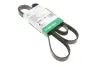 Ремінь генератора Audi/BMW/Chevrolet/MB/Opel FB 6PK1873