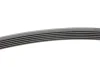 Фото 2 - ремінь генератора MB E-class (W210) 4.2/5.0/Audi A8 3.0D 10-18 (6PK2433) INA FB 6PK2433 Ремінь генератора MB E-class (W210) 4.2/5.0/Audi A8 3.0D 10-18 (6PK2433) INA FB 6PK2433 (фото 2)