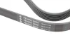 Фото 4 - ремінь генератора MB E-class (W210) 4.2/5.0/Audi A8 3.0D 10-18 (6PK2433) INA FB 6PK2433 Ремінь генератора MB E-class (W210) 4.2/5.0/Audi A8 3.0D 10-18 (6PK2433) INA FB 6PK2433 (фото 4)