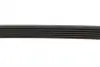 Ремінь генератора Citroen Berlingo/Fiat Ducato/Peugeot Boxer/Expert 1.9 D/TD 96-03 (6PK730) INA FB 6PK730 (фото 3)