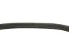 Ремінь генератора VW Polo/Skoda Fabia 1.9SDI/TDI 01-12 (6PK780) INA FB 6PK780 (фото 3)