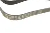 Ремень генератора Land Rover Discovery/Range Rover 2.5 Td5/3.9-4.6 93-04 (7PK1867) INA FB 7PK1867 (фото 2)