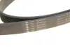 Ремінь генератора Land Rover Range Rover Sport 05-13/Discovery 2.7D 04- (8PK2093) INA FB 8PK2093 (фото 4)