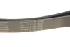 Ремінь генератора Land Rover Range Rover Sport 05-13/Discovery 2.7D 04- (8PK2093) INA FB 8PK2093 (фото 5)