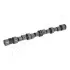 DAEWOO вал розподільчий Nexia 1.5 95- JAPANPARTS AA-DW000 (фото 1)