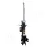 Амортизатор JAPANPARTS MM-00542 (фото 1)
