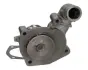 FORD помпа води Escort,Fiesta 1,8D /18D/ 89- JAPANPARTS PQ-333 (фото 2)
