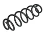 JAPANPARTS пружина задня Audi A4,A5, A6, A7 Japanparts ZC7127A (фото 1)