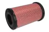 Фільтр повітряний (фільтруючий елемент) NISSAN NAVARA, NP300, PICK UP 2.5D 11.01- JC PREMIUM B21059PR (фото 1)