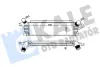RENAULT Інтеркулер Kangoo 1.9dCi 4x4 01- Kale 345095 (фото 1)