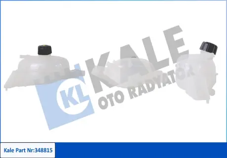 RENAULT розширювальний бачок Master III 2.3dCi 10- Kale 348815