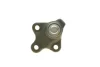 Опора кульова (передня) Dacia Duster II 17-/ Renault Kaptur 16- KAPIMSAN 06-04502 (фото 3)