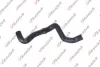 FORD патрубок радіатора C-MAX 1.6 07-10, FOCUS II 1.6 04-12 Kautek FD-RH004 (фото 1)