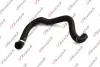 FIAT патрубок системи охолодження Ducato 3,0JTD 06-, CITROEN Jumper 3,0HDi 06- Kautek FI-RH220 (фото 1)