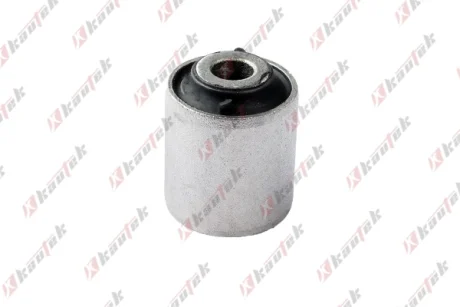 KAUTEK-TEKNOROT DB С/блок важеля задньої підвіски Smart Fortwo 07- Kautek SM-BS005