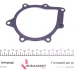Помпа води Citroen Jumper/Peugeot Expert 2.0 BlueHDi 15- Kavo MW-4446 (фото 5)