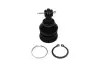PARTS TOYOTA кульова опора Yaris 1.0 05-11, 1.8 07-11 KAVO SBJ-9034 (фото 1)