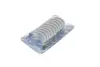 Вкладиші корінні BMW 3 (F30/F80/F31) 1.6 i 12-16 N13/Citroen Berlingo 1.6VTi 09- (+0.50) KOLBENSCHMIDT 37206620 (фото 3)