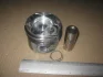 Поршень KOLBENSCHMIDT 40179610 (фото 2)