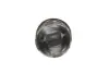 Поршень Renault Megane II/III 1.5dCi 03-/Kangoo 1.5dCi 08- (76.00mm/STD) KOLBENSCHMIDT 41069600 (фото 2)