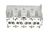 Головка блоку циліндрів VW T5 1.9TDI/Caddy 1.9TDI/2.0SDI 03- KOLBENSCHMIDT 50003131 (фото 5)