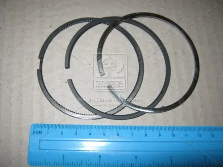 Кільця поршневі VW Caddy/Golf/T4 1.9TDI/2.4D (79.50mm/STD) (1.75-2-3) KOLBENSCHMIDT 800072510000