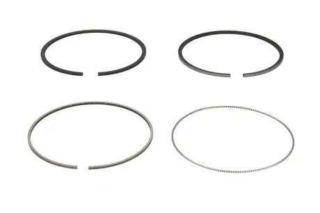 Кільця поршневі Nissan Patrol 3.0DTi 00- (96.00mm/STD) (2.5-2-2) KOLBENSCHMIDT 800111010000