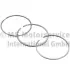 Кільця поршневі VW Toureg 3.0 V6 TDI 10-18 (83.00mm) (STD) KOLBENSCHMIDT 800123310000 (фото 1)