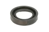 Прокладка кришки клапана ((EN) injector seal in the cover) HYUNDAI ELANTRA III, GRANDEUR, HIGHWAY, I30, SANTA FÉ I, SANTA FÉ II, SONATA V, TRAJET, TUCSON KIA CARENS I 2.0D/2.2D 03.01-03.13 Korea N40531OEM (фото 2)
