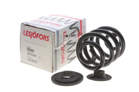 Пружини підвіски LESJOFORS 4295020