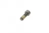 Комплект болтів маховика VOLVO C30, C70 I, C70 II, S40 I, S40 II, S60 I, S60 II, S70, S80 I, S80 II, S90 II, V40, V50, V60 I, V60 II, V70 I, V70 II, V70 III, V90 II, XC40, XC60 I 1.5-2.9 07.95- LuK 411 0161 10 (фото 3)