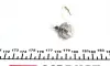 Автолампа H3 12V 55W PK22s Standard (H3 12V) MAGNETI MARELLI 002553100000 (фото 3)