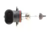 Автолампа HB4 12V 51W P22d Standard (HB4 12V) MAGNETI MARELLI 002577300000 (фото 4)
