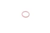 Кільце ущільнююче (O-ring) Renault (5 шт.) Magneti Marelli 007950024400 (фото 3)