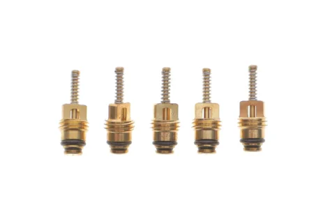 Комплект заправних клапанів Standard (21,55x7mm) (5 шт.) Magneti Marelli 007950024470