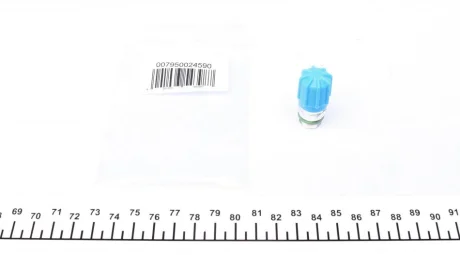 Сервісний порт (13 x 1,1) Magneti Marelli 007950024590