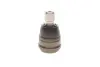 Опора кульова (передня/знизу) Ford Transit Courier 14-/Fiesta 08-/Mazda 2 07-15 MAGNETI MARELLI 301191618320 (фото 3)