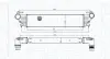 FIAT Інтеркулер 500L 0.9, 1.3, 1.4 12-, TIPO 1.3, 1.4 16- MAGNETI MARELLI 351319205530 (фото 1)