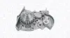 Помпа води RENAULT 19,CLIO,RAPID,THALIA [] MAGNETI MARELLI 352316170955 (фото 1)