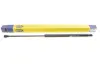 Амортизатор кришки багажника MAGNETI MARELLI 430719010000 (фото 2)